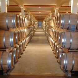 Hladnjaci za vino SIRMAN